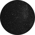 celayer 29