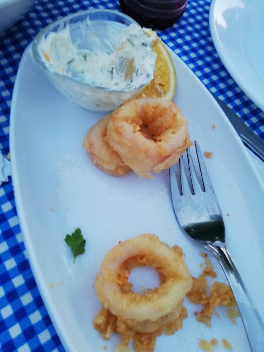 Fotoğraf 19