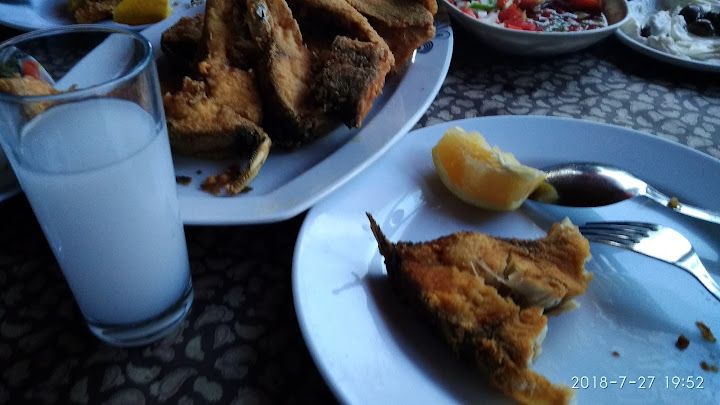 Fotoğraf 15