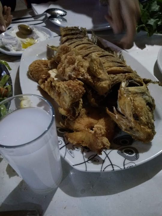 Fotoğraf 16