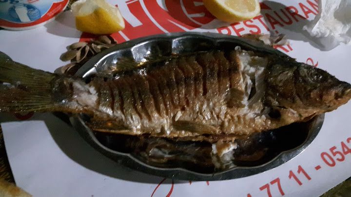 Günsüz Balık Restoran