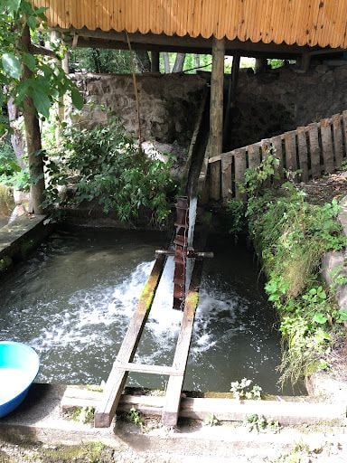 Fotoğraf 18