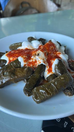 Fotoğraf 15