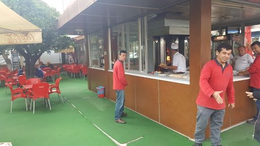 Fotoğraf 15