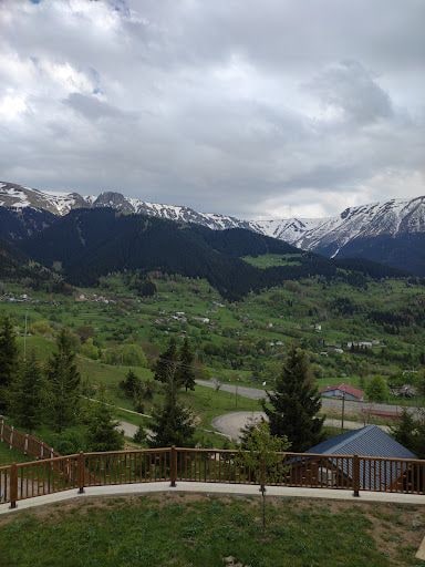 Fotoğraf 22