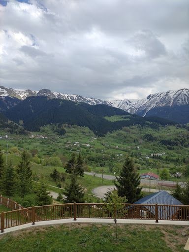 Fotoğraf 23