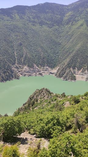 Fotoğraf 42