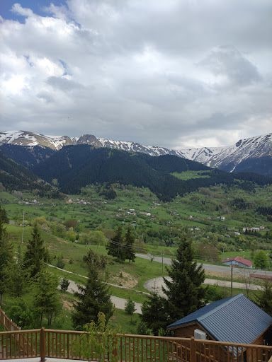 Fotoğraf 24