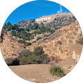 Cemil