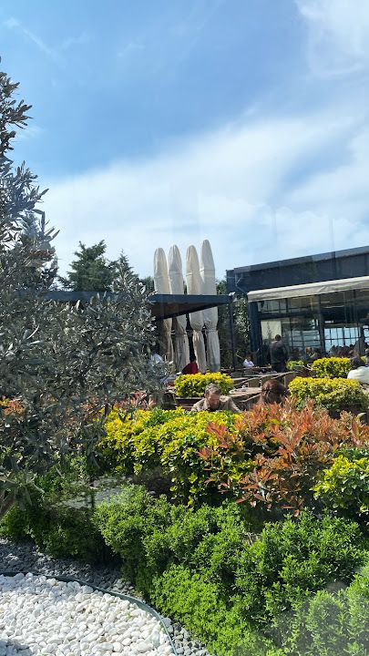 Fotoğraf 22