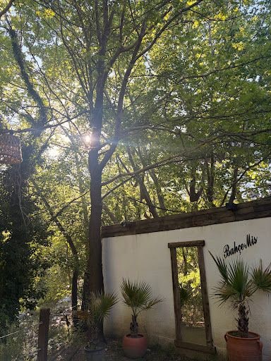 Fotoğraf 13