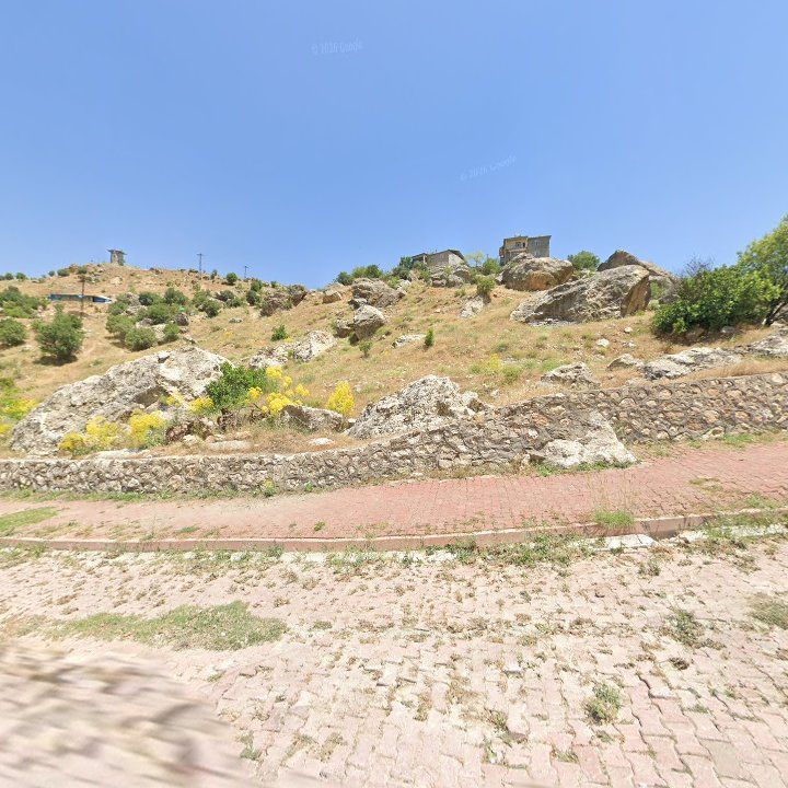 Fotoğraf 5