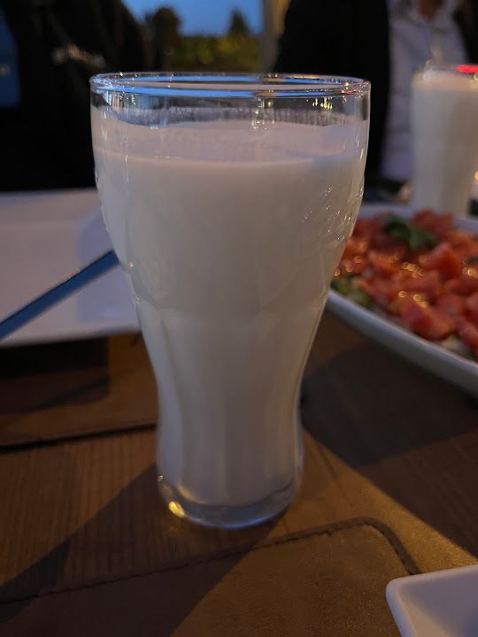 Fotoğraf 19