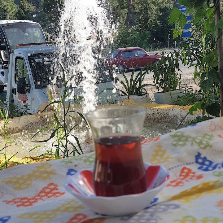 Fotoğraf 27