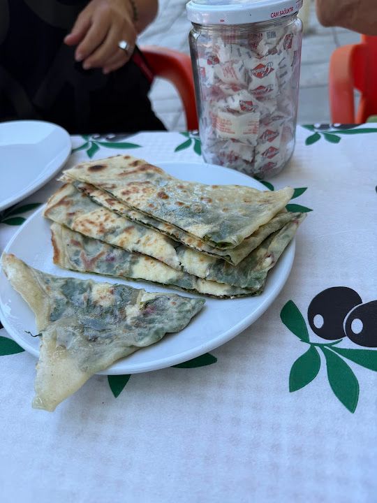 Fotoğraf 24