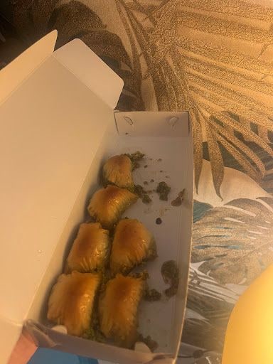Fotoğraf 14