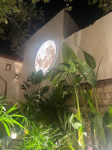 Fotoğraf 16