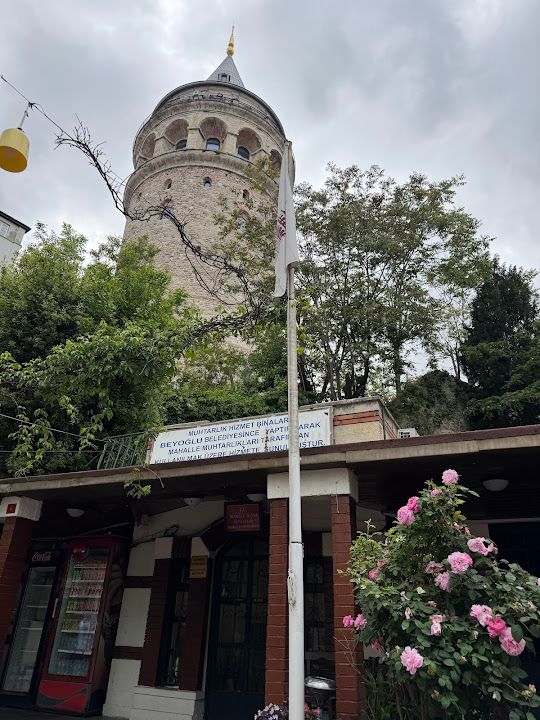 Fotoğraf 33