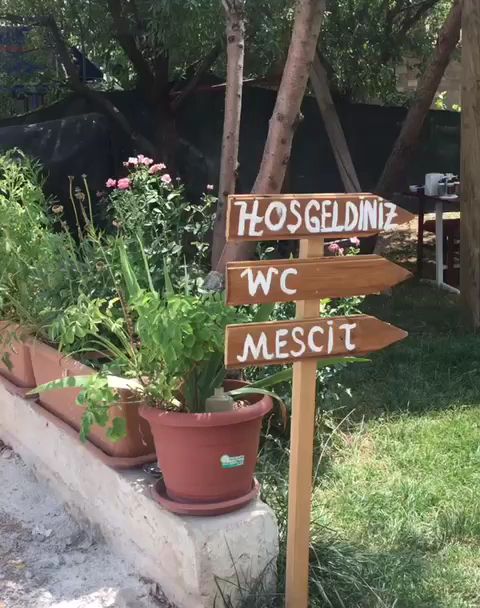 Fotoğraf 17