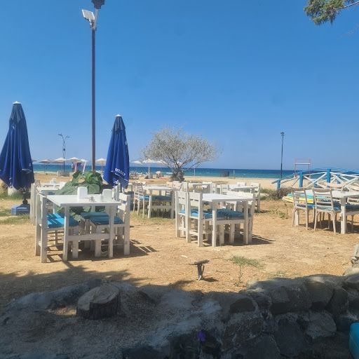 Fotoğraf 23