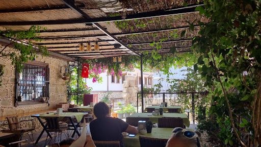 Yorum fotoğrafı 1