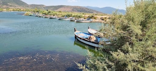 Fotoğraf 29