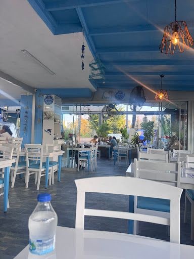 Yorum fotoğrafı 4