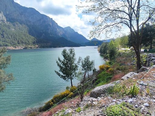 Yorum fotoğrafı 10