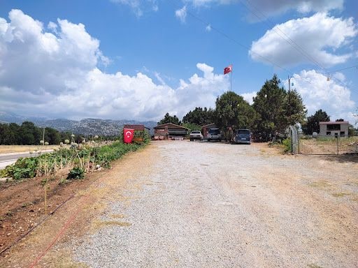 Yorum fotoğrafı 2