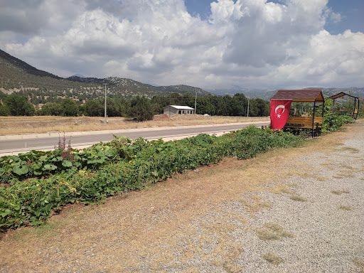 Yorum fotoğrafı 3