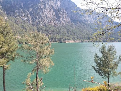 Yorum fotoğrafı 4