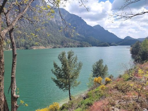 Yorum fotoğrafı 9