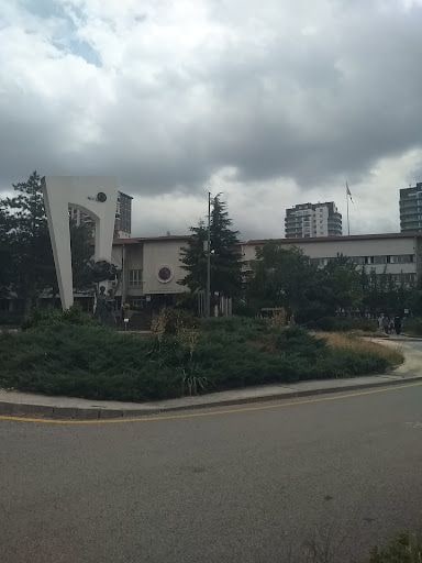 Yorum fotoğrafı 7