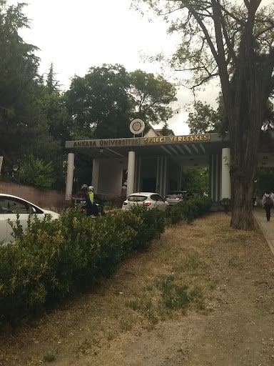 Yorum fotoğrafı 9
