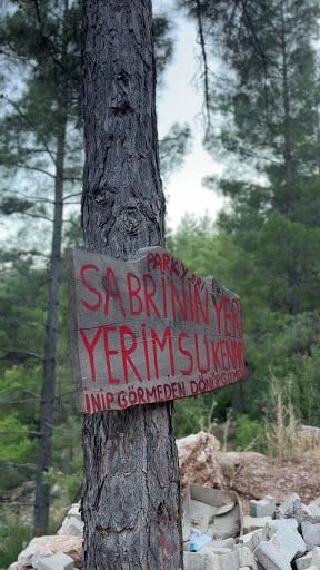 Yorum fotoğrafı 3