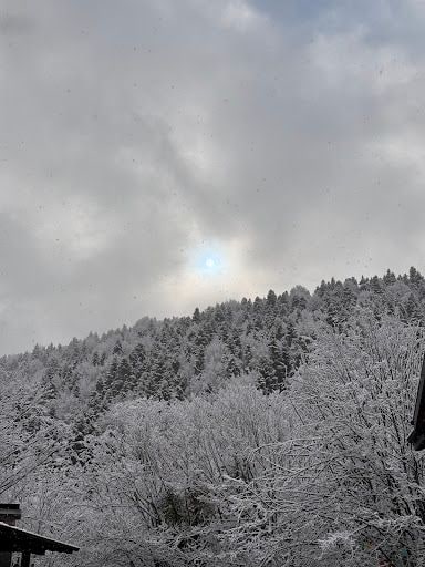 Yorum fotoğrafı 7