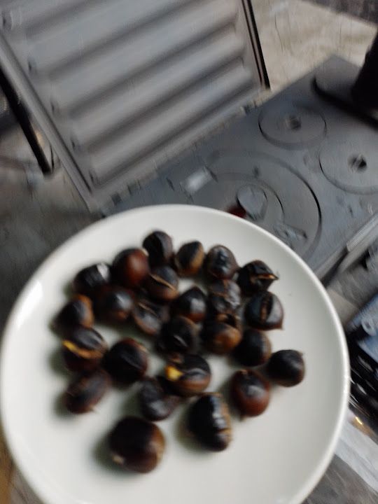 Fotoğraf 19