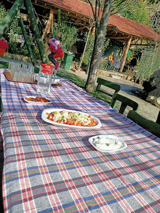 Fotoğraf 28