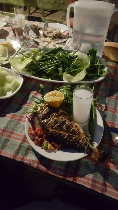 Fotoğraf 34