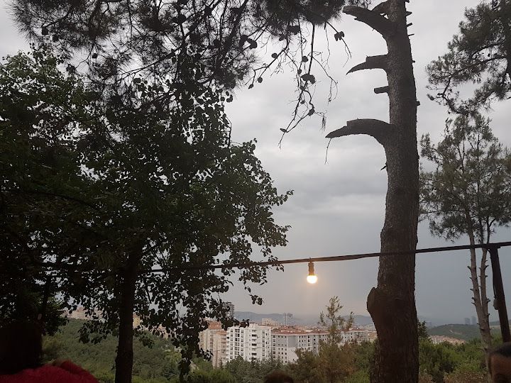 Fotoğraf 52