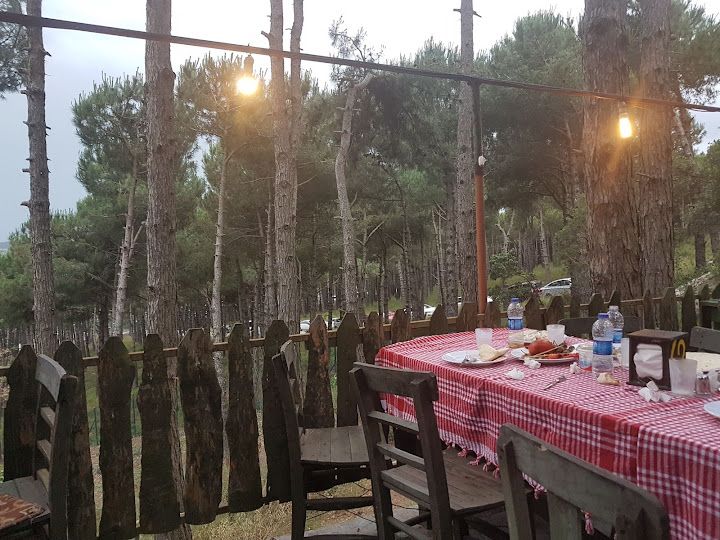 Fotoğraf 51