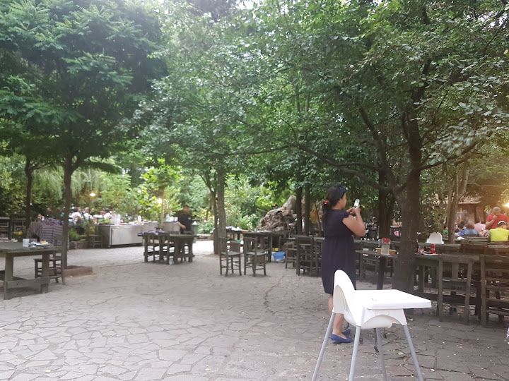 Fotoğraf 53