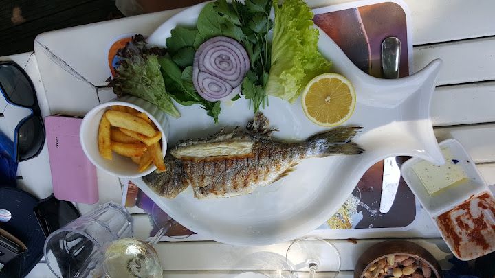 Fotoğraf 52