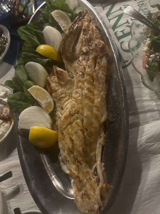 Fotoğraf 46