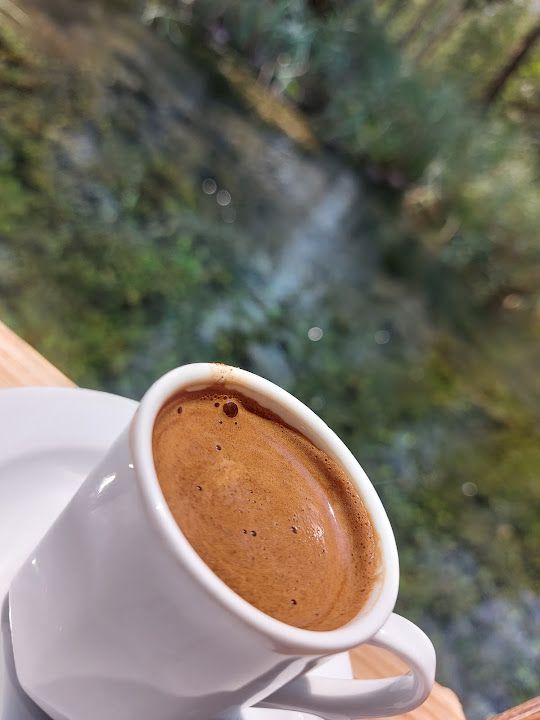 Fotoğraf 49