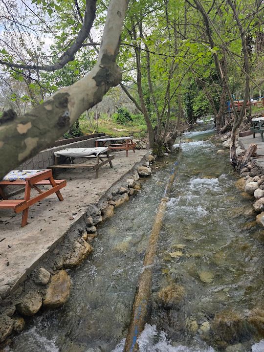 Yorum fotoğrafı 4