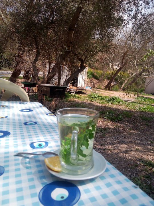 Fotoğraf 15