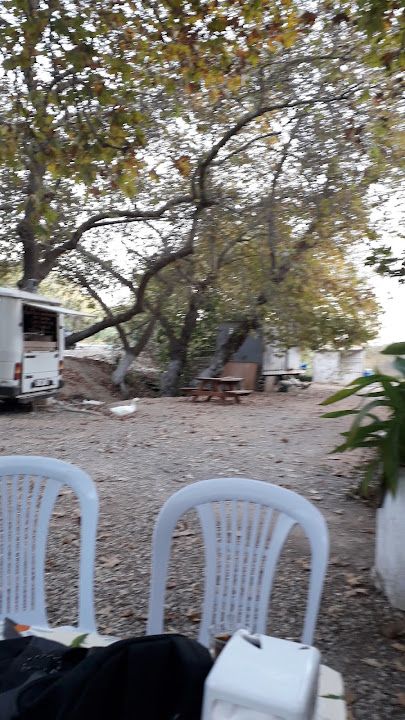 Yorum fotoğrafı 3