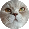 Ceren Çağlı