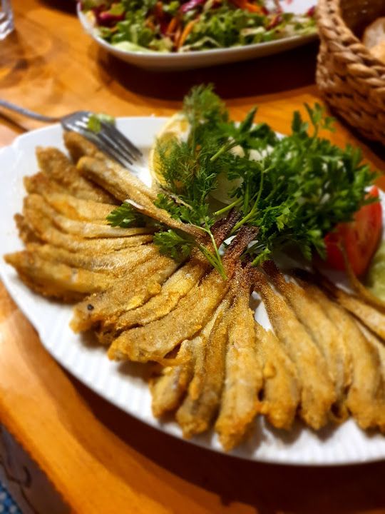 Yorum fotoğrafı 1